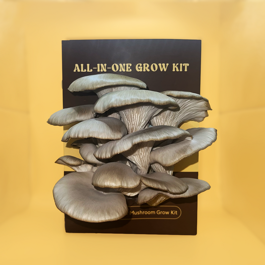 Oyster Mushroom Growkit