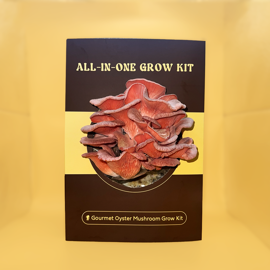Oyster Mushroom Growkit