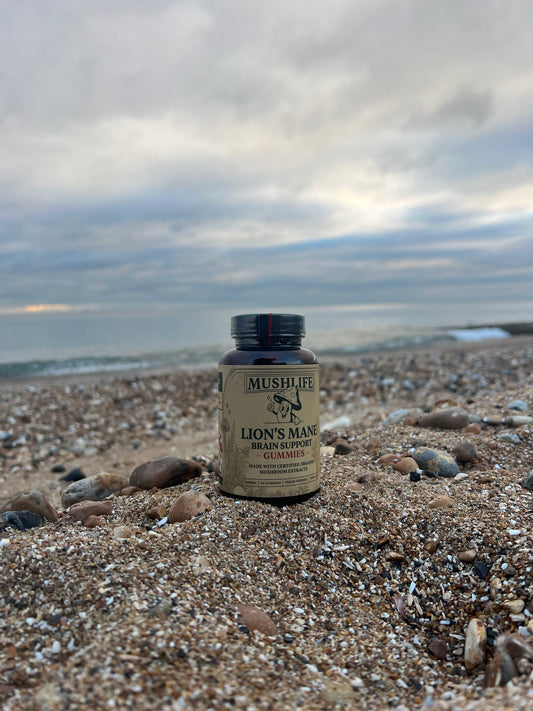 LIONSMANE MUSHROOM GUMMIES